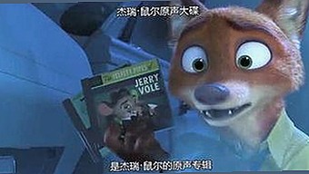 揭开网络红人背后的秘密与娱乐圈真相大揭秘